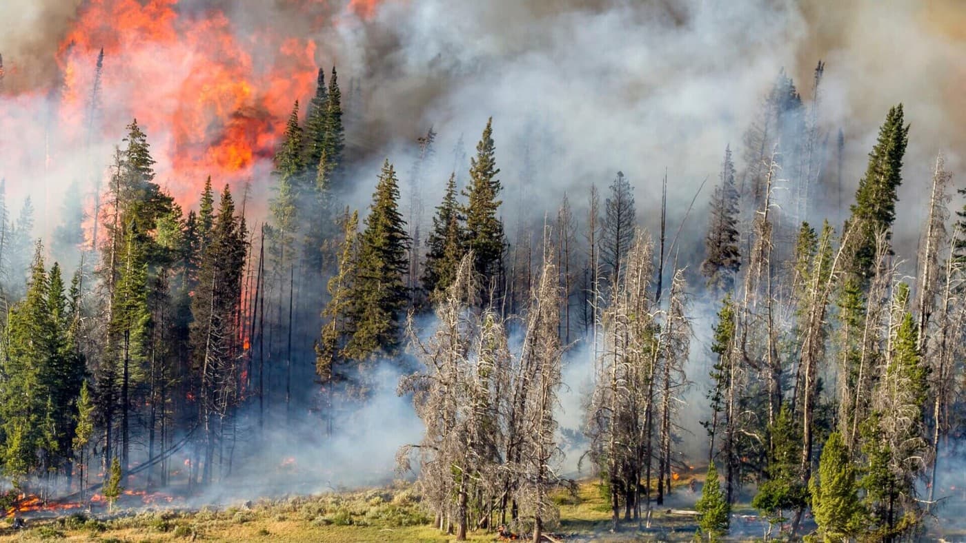 Flying to Europe this summer? What wildfires could mean for your flight compensation rights
