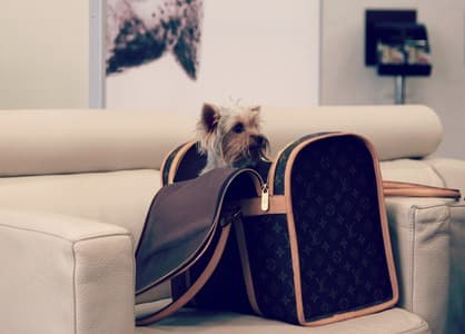 How to Have Fun When Your Flight is Delayed