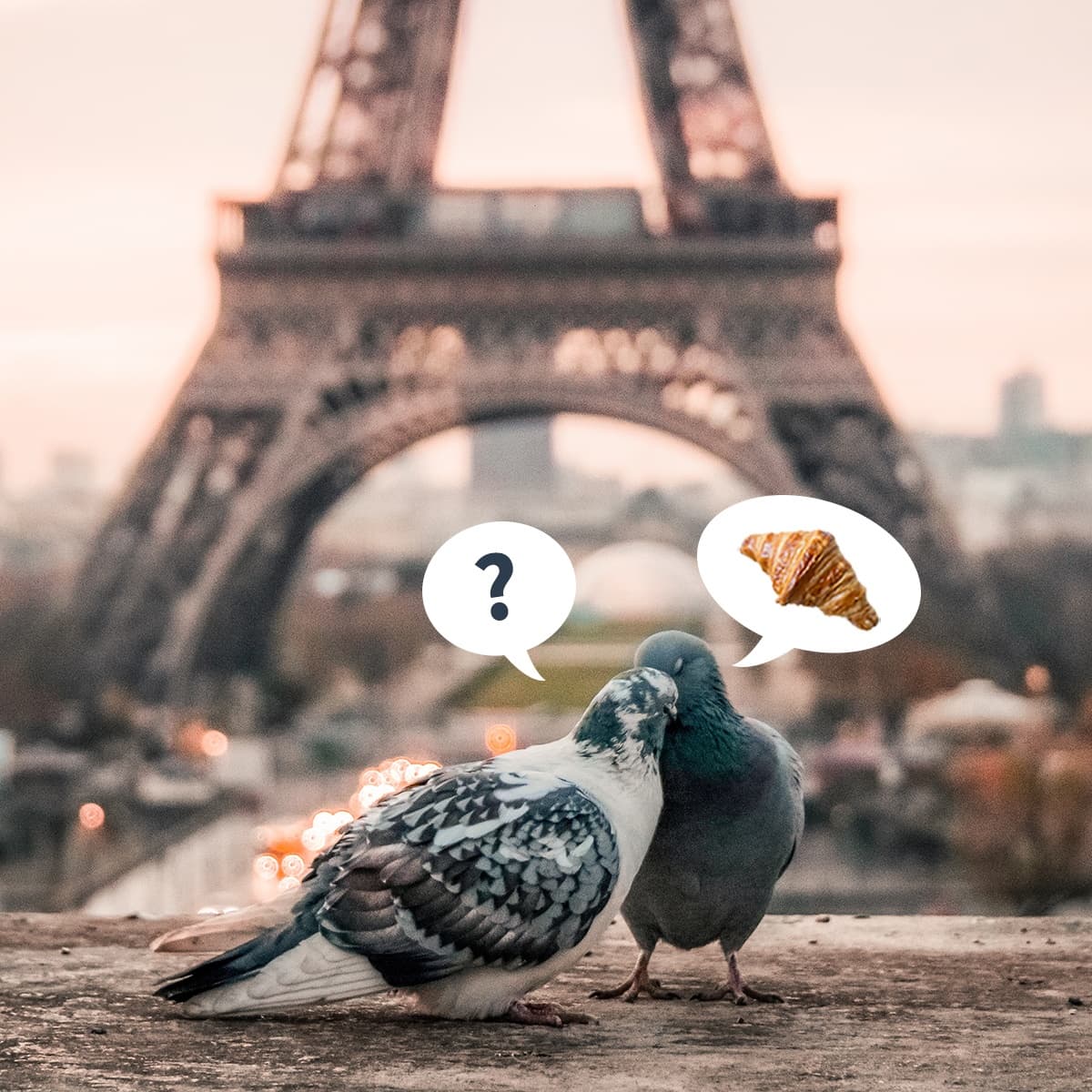 7 formas de viajar como casal sem problemas