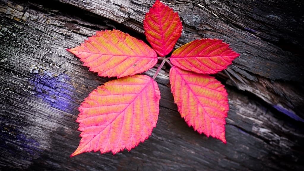 Planned Spontaneity: Ideas to Kick-Start the Natural Traveler in You